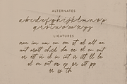 Kallistone Handwritten Font, a Handwritten Font by DzikrulAulia (Thumbnail 8 of 9)