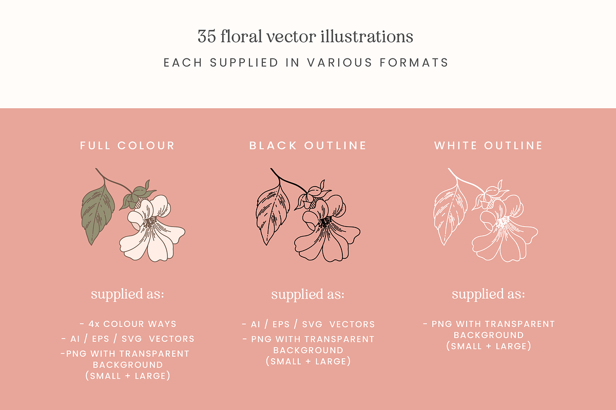 Blush Floral Vector Illustrations, a Decorative Illustration by Emma Webb Studio (Photo 3 of 12)