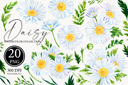 Watercolor Daisy flower clipart 20, an Object Graphic by KarinkaBU (Thumbnail 1 of 5)