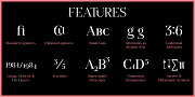 Spitzkant, a Serif Font by Julien Fincker (Thumbnail 10 of 10)