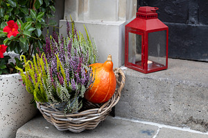 Close-up of Autumn Hearth Decoration, a Nature Photo by Imaginarium
