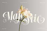 Dh Nottera Elegance - 7 Fashion Font, a Serif Font by Dharmas Foundry (Thumbnail 2 of 17)