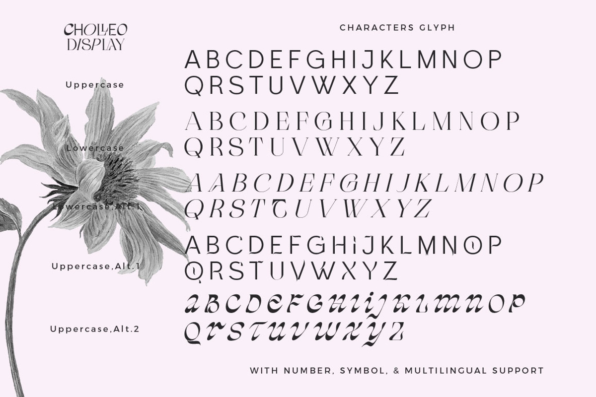 Cholleo Display, a Serif Font by Dora Typefoundry (Photo 12 of 18)