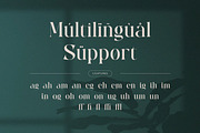 Bahena – Elegant Display Serif Font, a Serif Font by BrandSemut (Thumbnail 8 of 10)