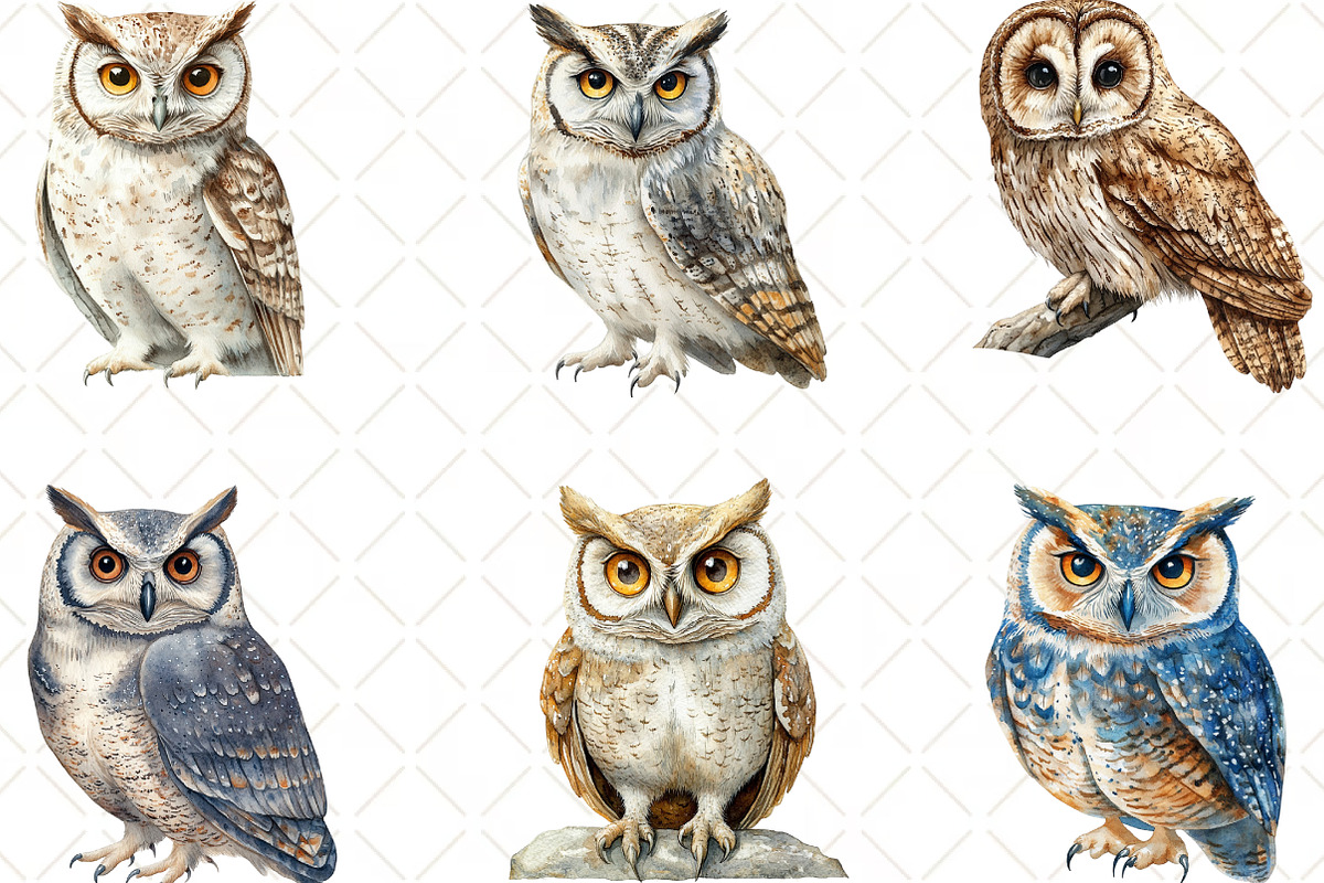 Vintage Owl Clipart, an Illustration by Black Bird Studio (Photo 6 of 6)