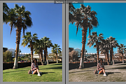 Lightroom Mobile Presets Tropical, a Preset Add-On by 4presets (Thumbnail 3 of 7)