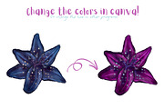 Celestial Raven PNG Clipart, an Animal Illustration by Lenninator Digital (Thumbnail 8 of 9)