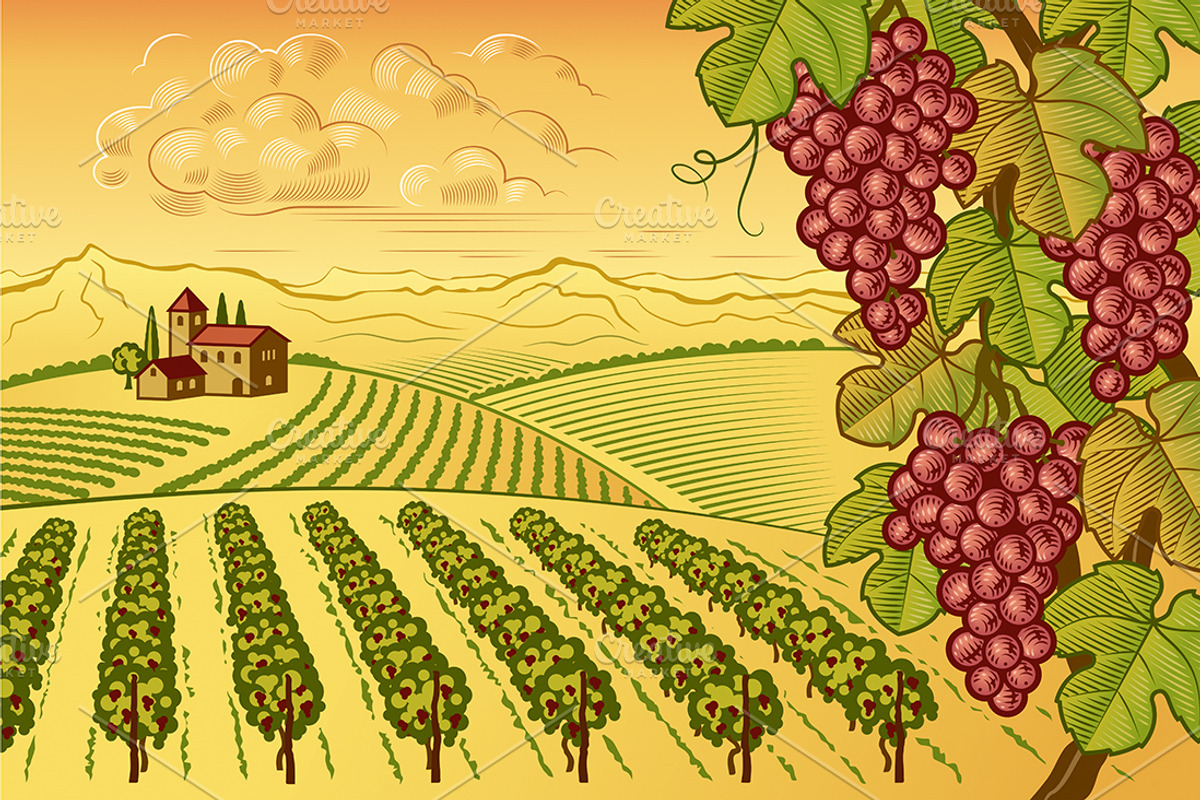 Vineyard Valley Landscape, a Food Illustration by Retro Graphics
