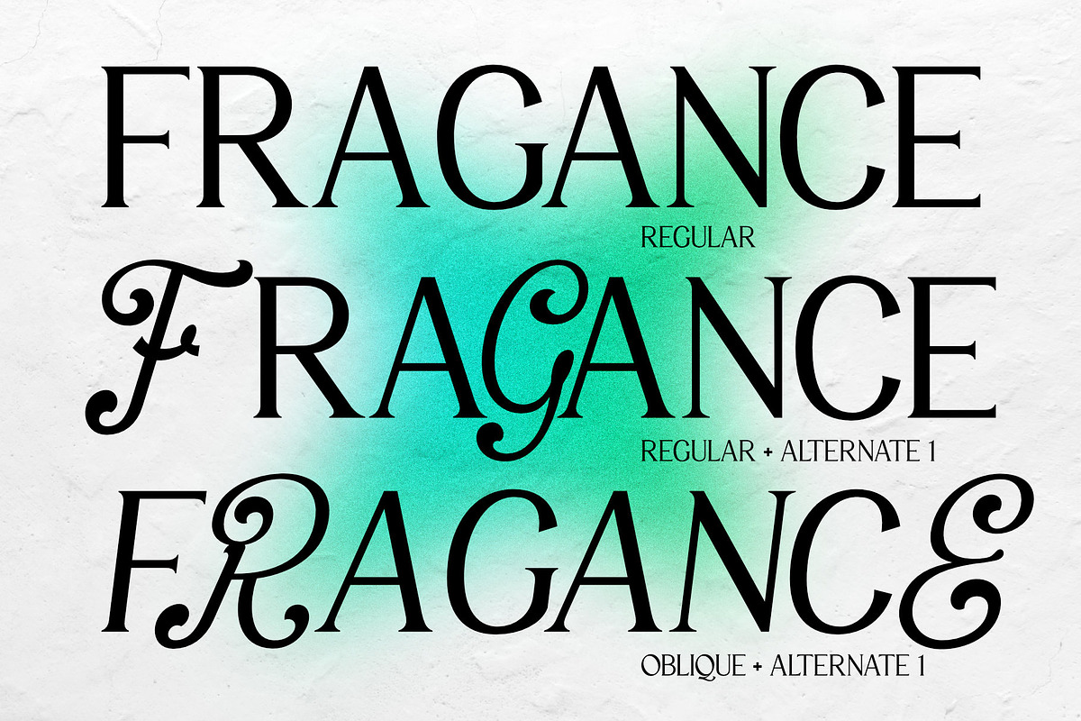 VT Salemore Longest Font Combination, a Serif Font by ViactionType (Photo 8 of 13)