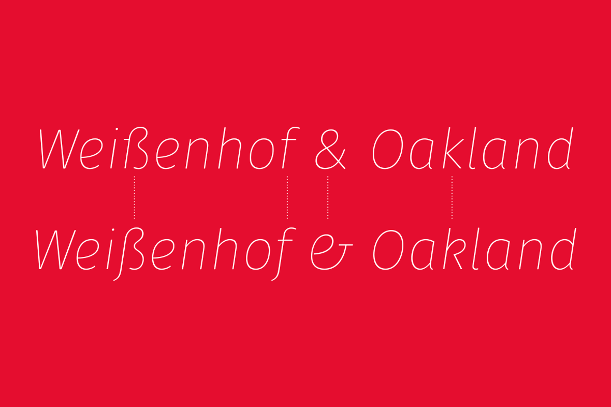 Gardenia Typeface 85%OFF, a Font by W Type Foundry (Photo 10 of 14)