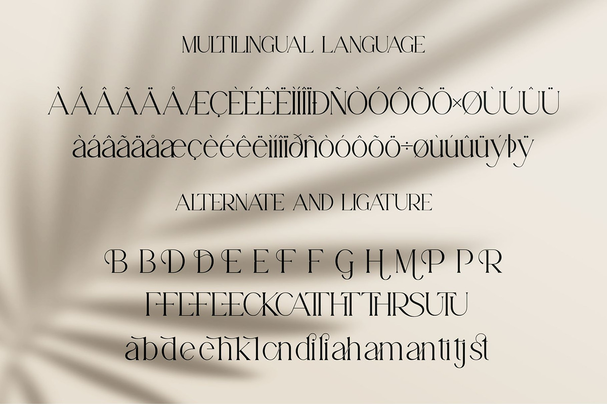 Fantia || Modern Serif Font, a Serif Font by Idea Studio (Photo 8 of 10)