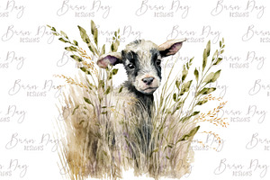 Watercolor Baby Goat Clipart Bundle