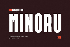 Minoru Modern Sans Serif Font, a Sans Serif Font by Perfectype