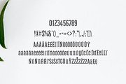 Mahlon Serif Font Family Pack, a Sans Serif Font by Creativetacos (Thumbnail 4 of 5)