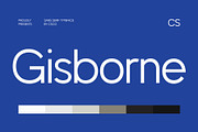 CS Gisborne – Contemporary Font, a Sans Serif Font by Craft Supply Co. (Thumbnail 1 of 7)