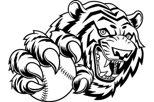 Black and White Angry Tiger Baseball, an Illustration by HitToon