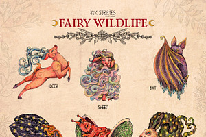 Fairy Wildlife