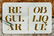Dynasti Display Font, a Serif Font by Megatype (Thumbnail 7 of 11)