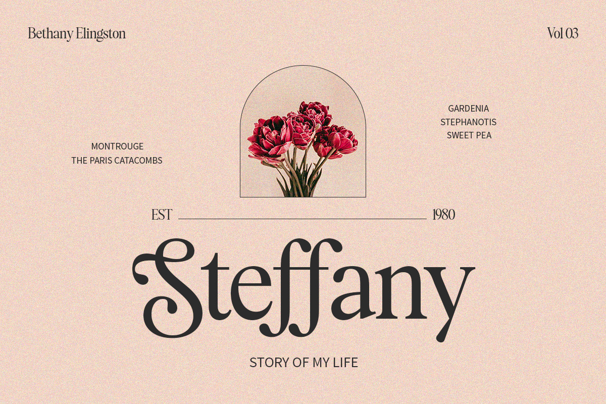 Bethany Elingston, a Serif Font by Attract Studio (Photo 11 of 17)