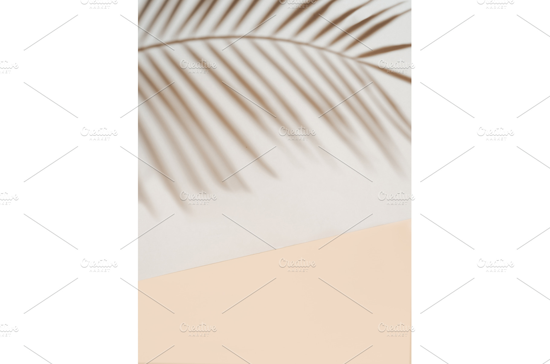 Palm leaf shadow on white wall, an Abstract Photo by Fascinadora