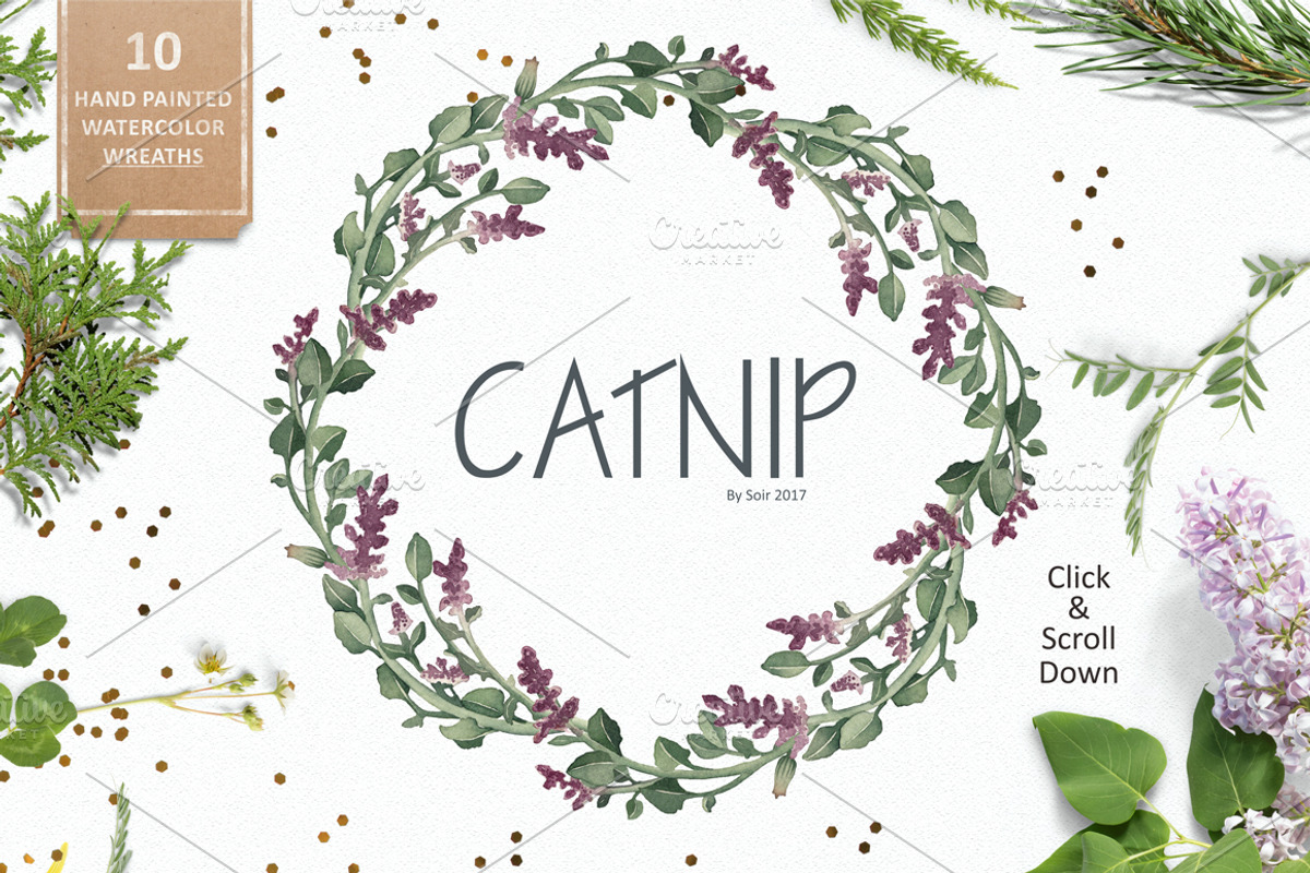 Catnip, a Texture Illustration by Soir Creative (Photo 2 of 6)
