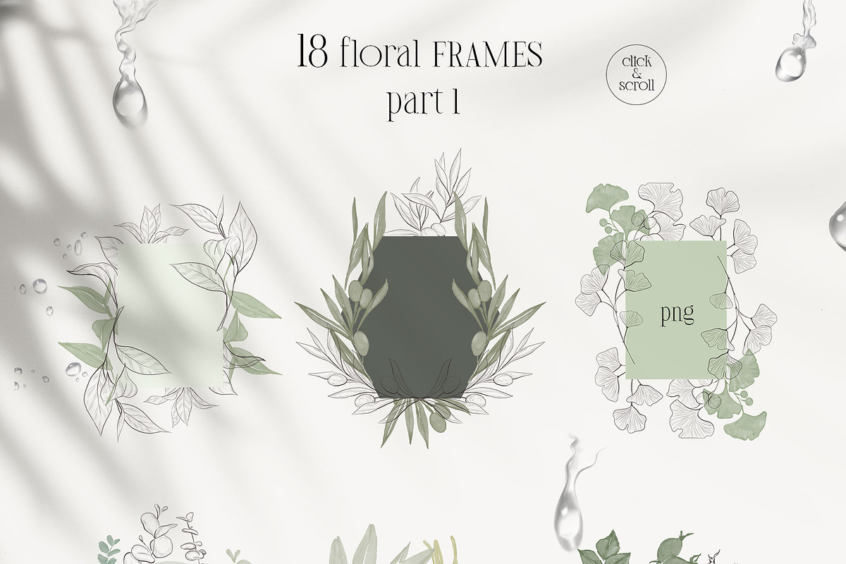 PLANTS & HERBS illustrations set, a Healthcare Illustration by Yuliia Lashevska (Photo 9 of 14)