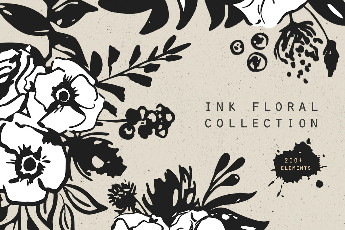 Ink floral collection. Floral ABC, an Illustration by Vera●Suleimanova (Photo 1 of 19)