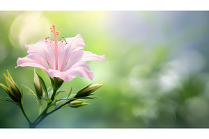 garden plant flower background ai, a Nature Photo by pikepicture