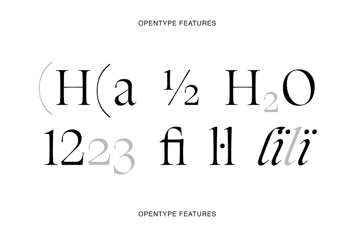 Silene - Elegant Serif Typeface, a Serif Font by Piotr Łapa (Photo 11 of 12)