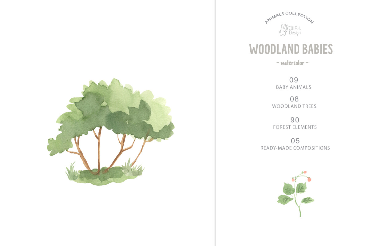 WOODLAND BABIES. Watercolor set, an Animal Illustration by OlliArtDesign (Photo 2 of 9)