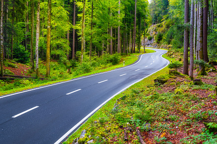 An empty road through the woods, a Transportation Photo by Landscape and travel
