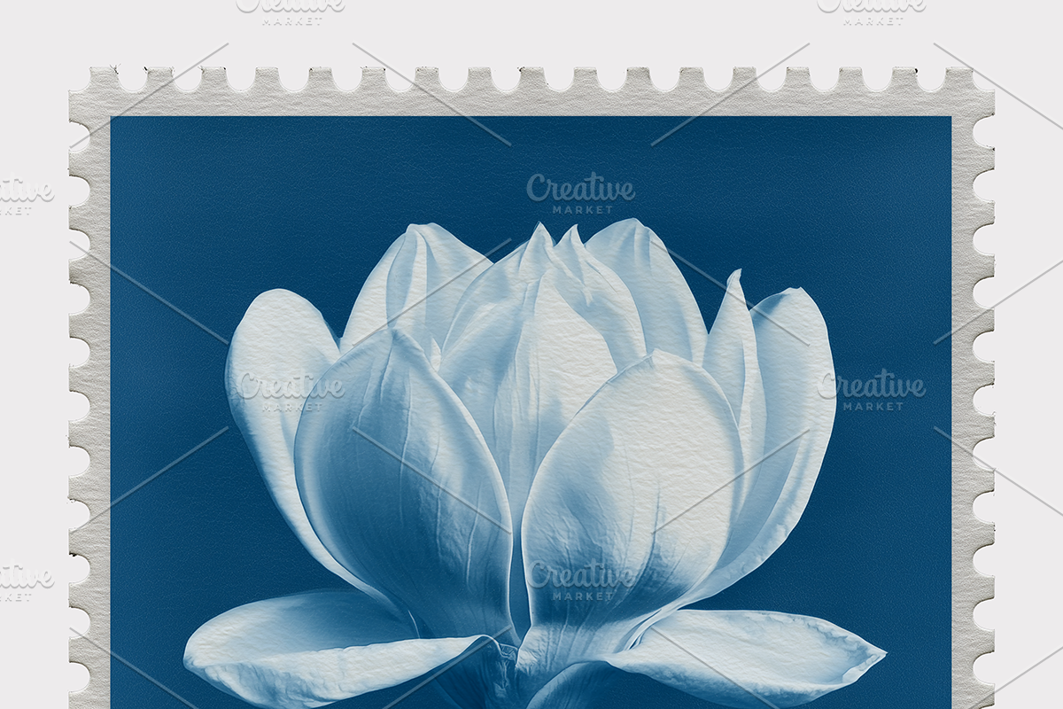 Lupa Co · Cyanotype Botanical Stamps, a Texture Illustration by milatovar (Photo 14 of 18)