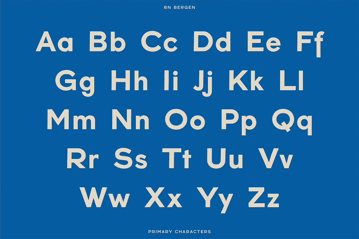 BN Bergen, a Sans Serif Font by Bnick (Photo 6 of 11)