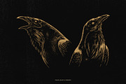 Crow Raven Illustrations pack, an Animal Illustration by Trape Graphic Studio (Thumbnail 4 of 7)