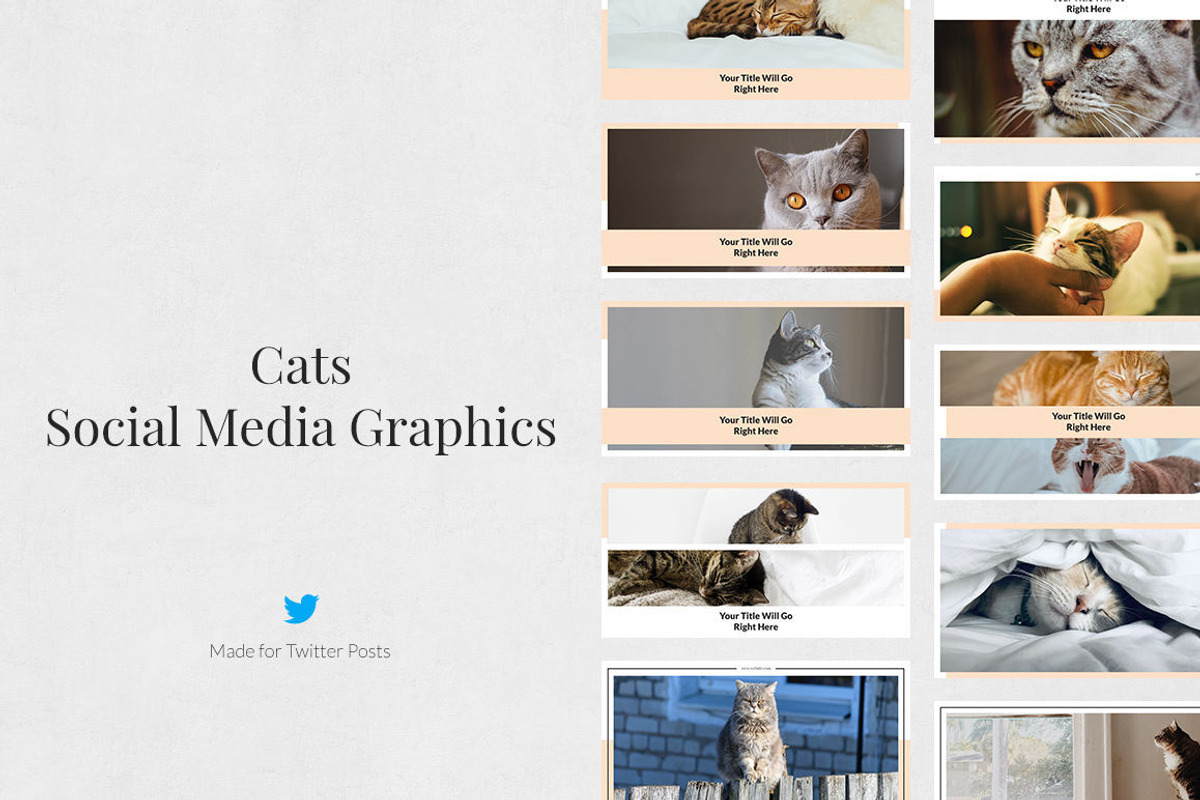 Twitter Posts Bundle, a Social Media Template by Social Corner Graphics (Photo 21 of 37)