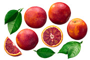 Blood Oranges, a Graphic by Hortimages (Thumbnail 1 of 2)