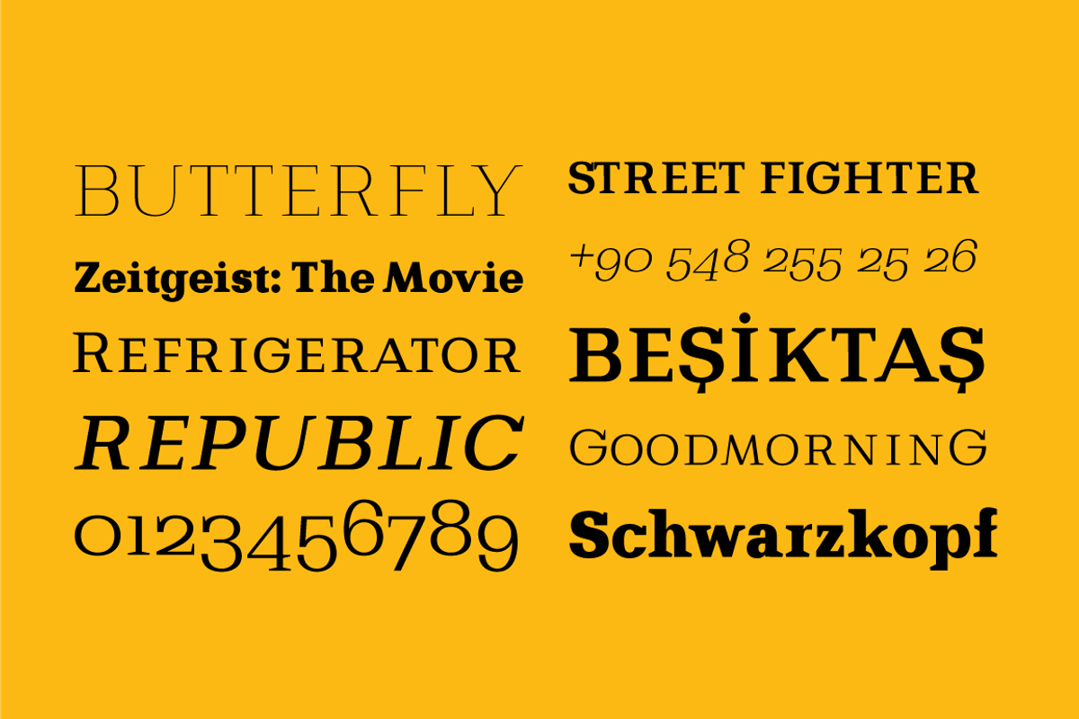 Bodrum Slab, a Slab Serif Font by BULENT YUKSEL (Photo 9 of 12)