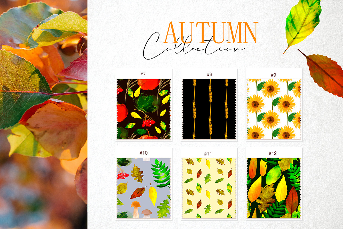 Autumn collection, a Background Graphic by ViktoriaLapshyna (Photo 8 of 10)