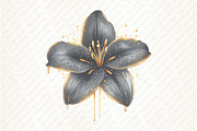 Glitter Luxury Black Spring Flower, an Illustration by Watercolor design (Thumbnail 9 of 12)