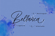 Himalaya Signature, a Handwritten Font by Integritype Studio (Thumbnail 14 of 15)