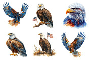 Watercolor Eagles Clipart, an Illustration by SinaCreation (Thumbnail 3 of 5)