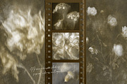 Lull · Brown Botanical Autumn Series, a Background Graphic by alonahaidash (Thumbnail 8 of 16)