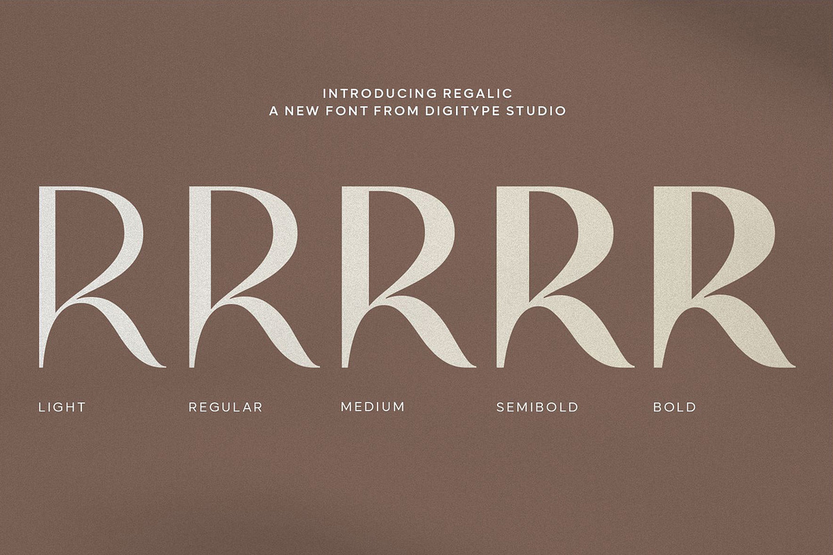 Regalic | Font Family, a Sans Serif Font by Digitype Studio (Photo 13 of 14)