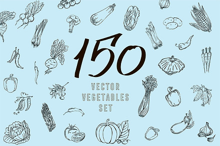 Vector vegetables
