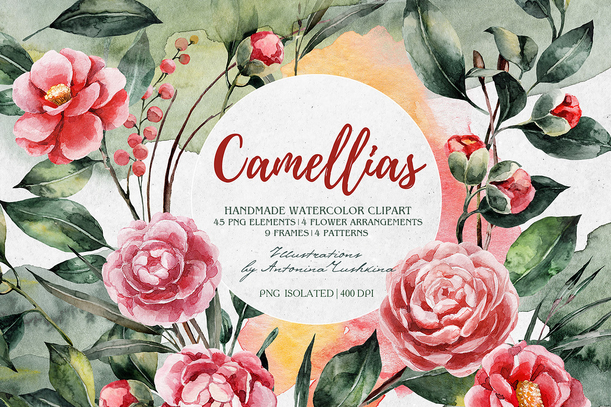 Spring watercolor camellia set, an Illustration by RushkinaAntonina (Photo 1 of 6)