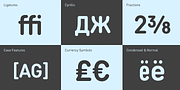 Core Sans DS, a Sans Serif Font by S-Core (Thumbnail 5 of 6)