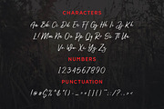 Authorized Signature Script Fonts, a Script Font by Patria Ari (P4tcreativa) (Thumbnail 8 of 10)