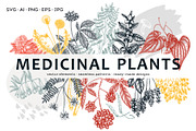 Adaptogenic & Medicinal Plants Set, a Healthcare Illustration by Yevheniia (Thumbnail 1 of 9)