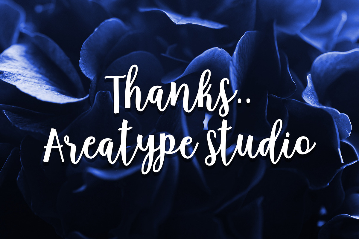 Anindita Script, a Script Font by Areatype (Photo 10 of 10)