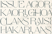 Eyana | Elegant serif, a Serif Font by ClevUs (Thumbnail 4 of 12)